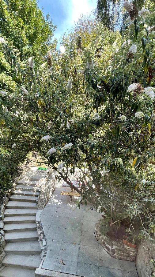 Au Jardin De La Basilique Appartement *