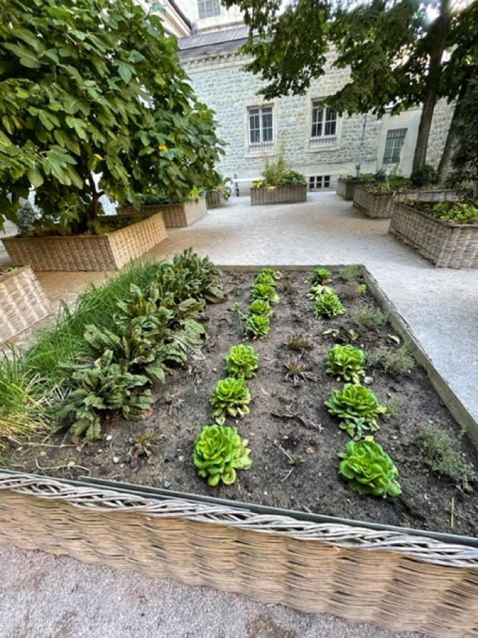 Au Jardin De La Basilique Appartement